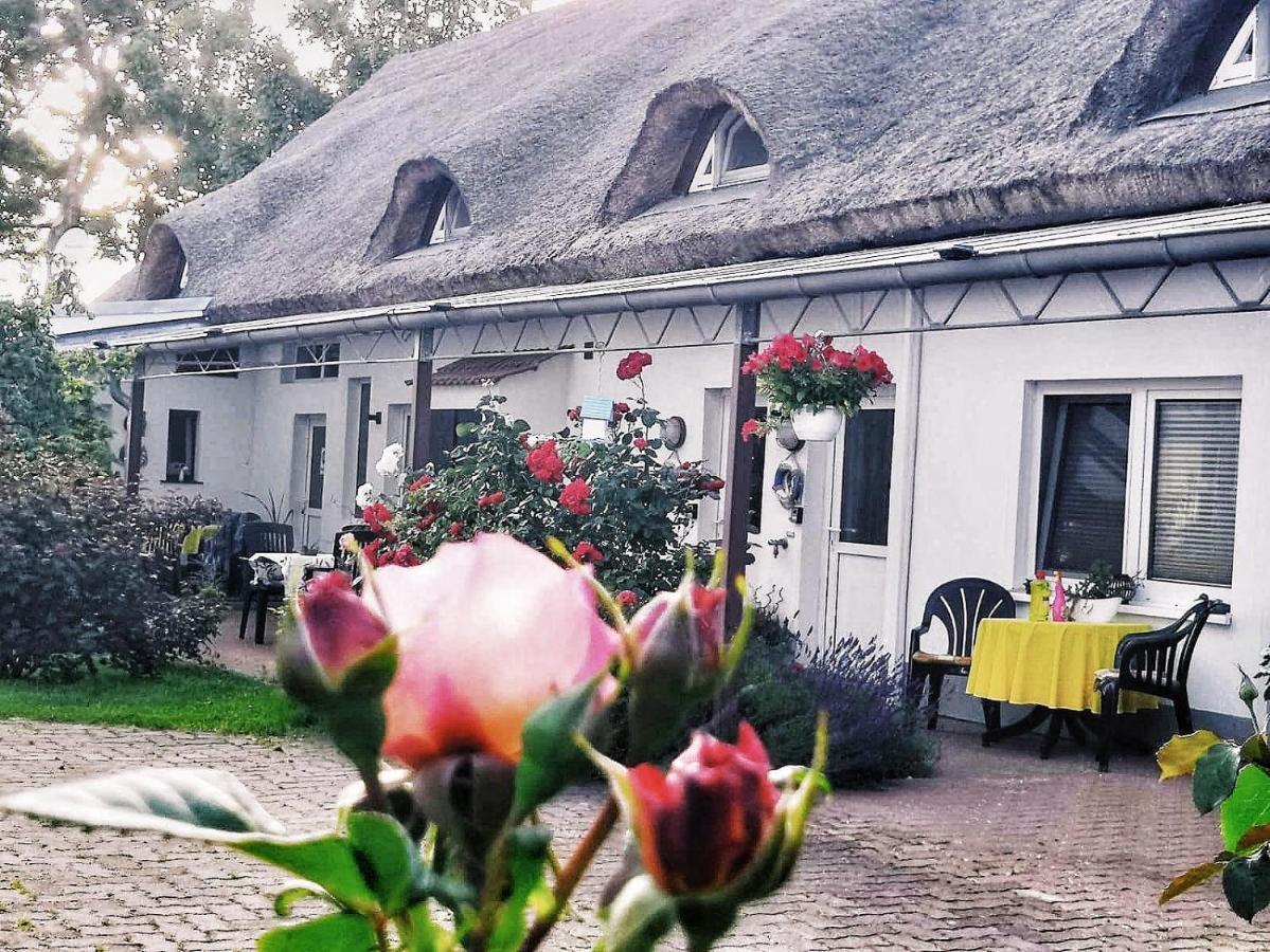 Reet Landhaus Ruegen Ummanz ภายนอก รูปภาพ